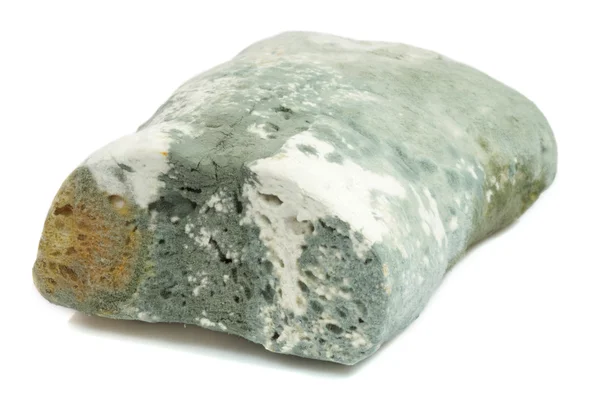 Mold bread — Stock Photo, Image