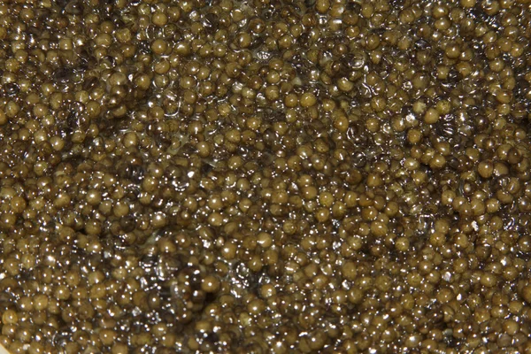 Schwarzer Kaviar Stockbild