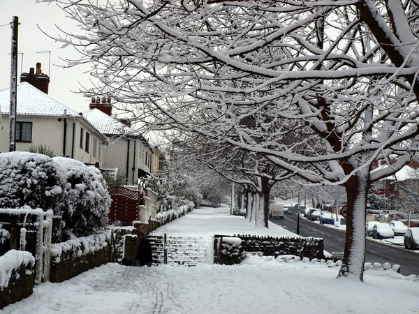在英国的冬天 — 图库照片