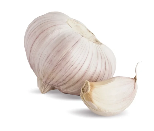 stock image Garlic