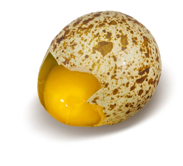 Broken quail egg — Stock Photo, Image