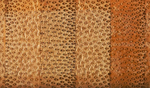 Текстура перерізу — стокове фото