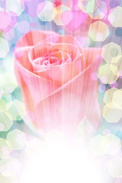 Delicate rose with blurred lights — Stock Photo, Image