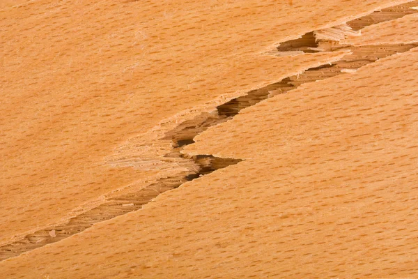 Деревянная трещина — стоковое фото