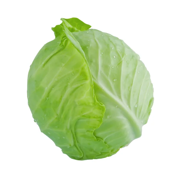 Голова зеленої капусти — стокове фото