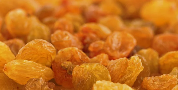 stock image Golden raisins