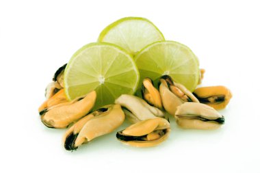 Mussel clipart