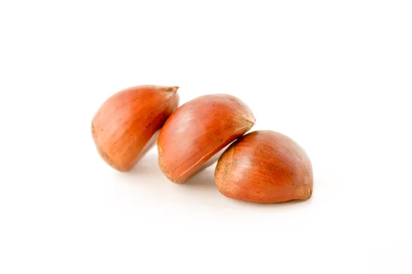 stock image Chestnut