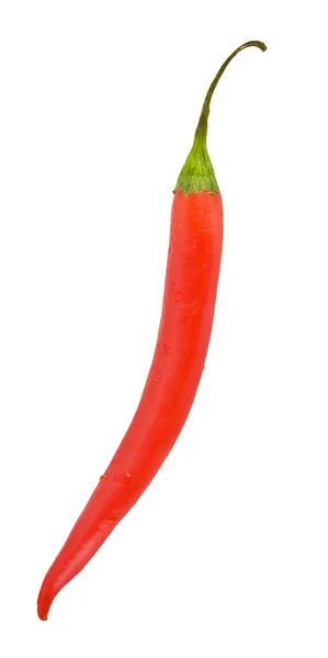 Chili de pimienta — Foto de Stock