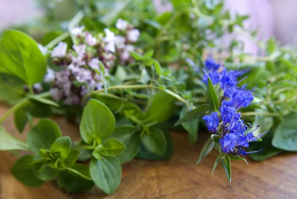 Fresh herbs from garden — Stock Photo, Image