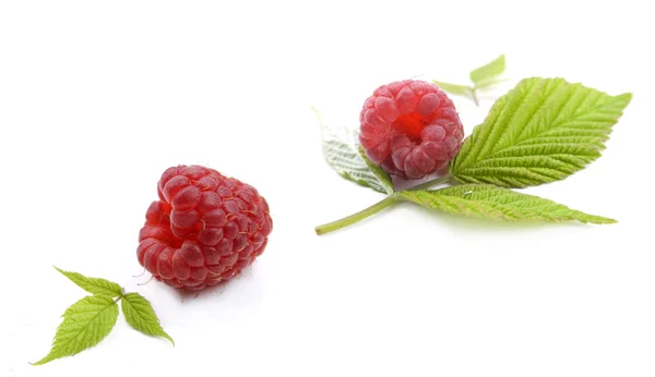 Raspberry with leaf — Stock Photo, Image