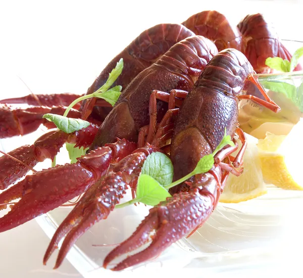 Boiled crayfish on table — Stock Photo, Image