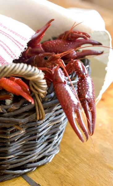Crayfish on the table — Stock Photo, Image