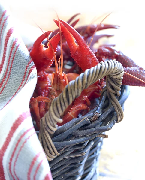 Serving fresh boiled crayfish — Stock Photo, Image
