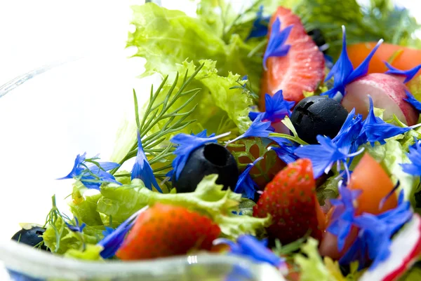 Summer salad with cornflower — Stock Photo, Image