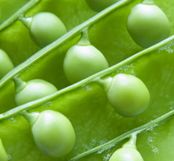 Färska gröna ärter närbild — Stockfoto