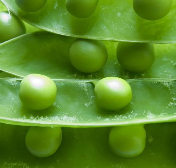 Gröna ärter närbild — Stockfoto