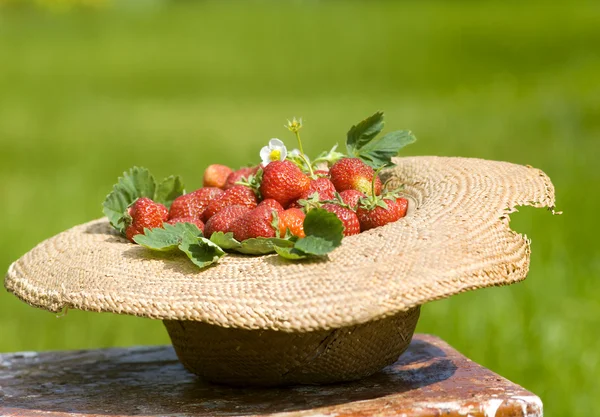 Sunhat with strawberry — Stock Photo, Image