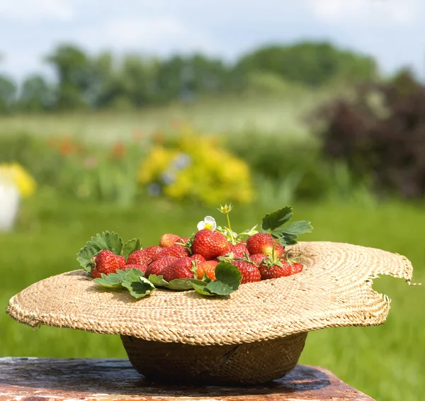 Sunhat full of strawberry — Stock Photo, Image