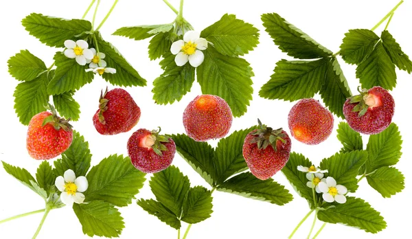 Strawberry ornament — Stock Photo, Image
