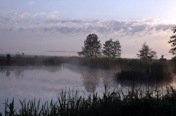 Stock image Calm of lake and sky