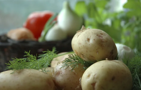 stock image Jacket potatoes with fresh dill