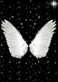 Angel wings Stock Photos, Royalty Free Angel wings Images | Depositphotos®