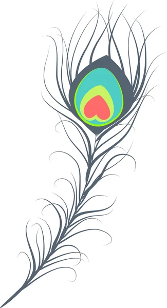 Vecteur de plumes de paon — Image vectorielle