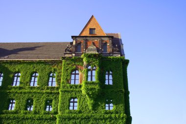 Ivy covered historic building clipart