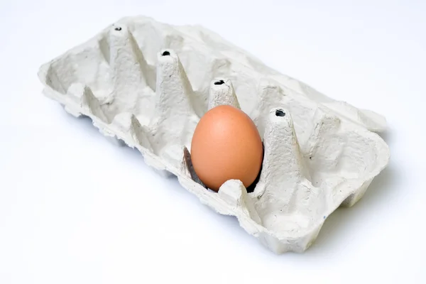 Chicken egg in paper tray — Stock Photo, Image