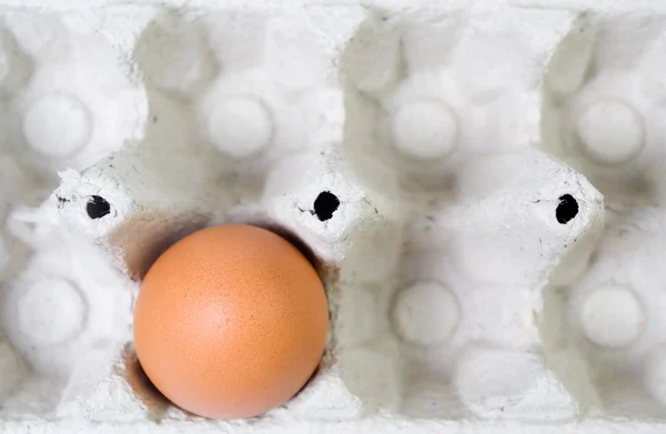 Single egg in paper tray — Stock Photo, Image