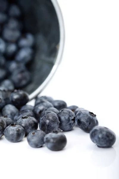 stock image Fresh blueberries