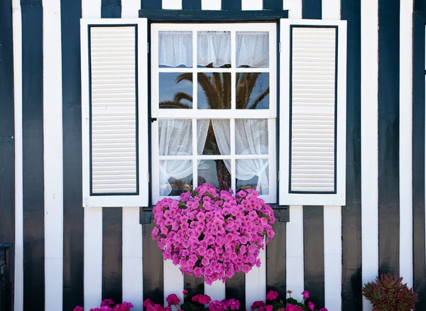 Okno s květinami — Stock fotografie