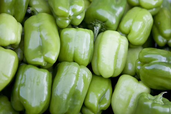 Grüne Paprika Hintergrund — Stockfoto