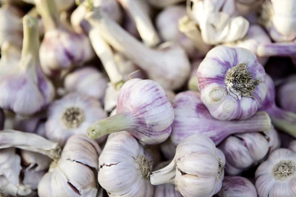 stock image Garlic background