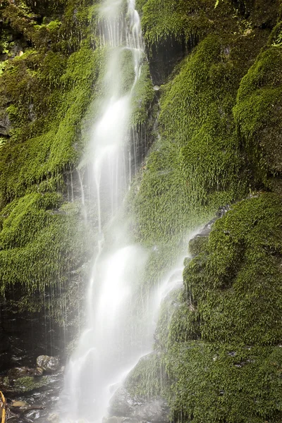 stock image Waterfall with mossy rocks