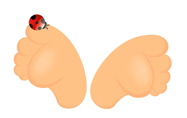 stock vector Feet with a ladybird