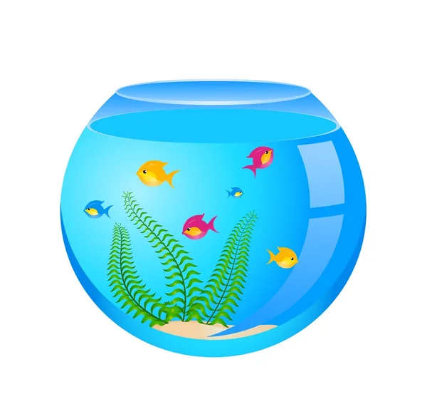 Aquarium — Stock Vector