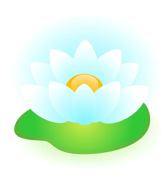 Water-lily — Stock Vector