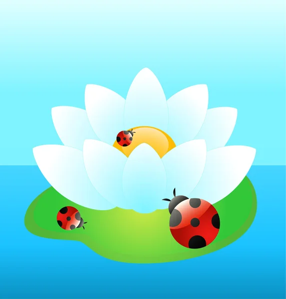 Beyaz su-komik ladybird zambağı — Stok Vektör