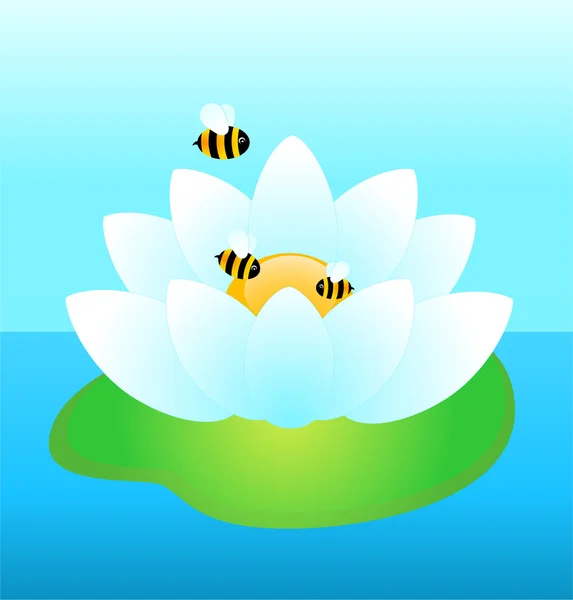 Lírio de água branco com abelhas engraçadas — Vetor de Stock