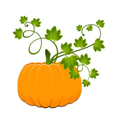 Orange pumpkin clipart