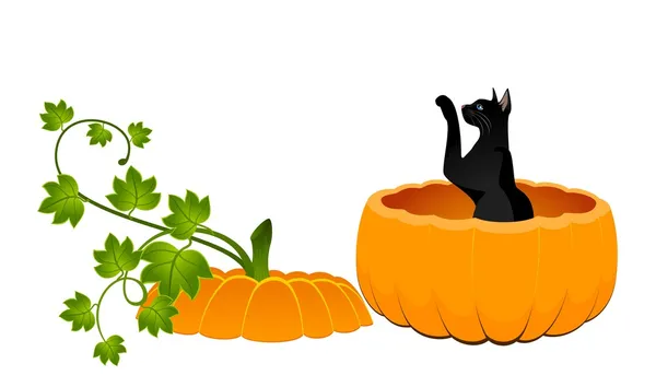 Pumpkin and black cat — Stock Vector
