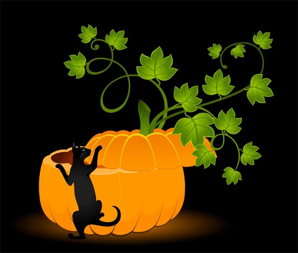 Pumpkin and black cat — Stock Vector