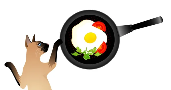 Siamese cat wants to eat the fried eggs from a frying pan — Stock Vector