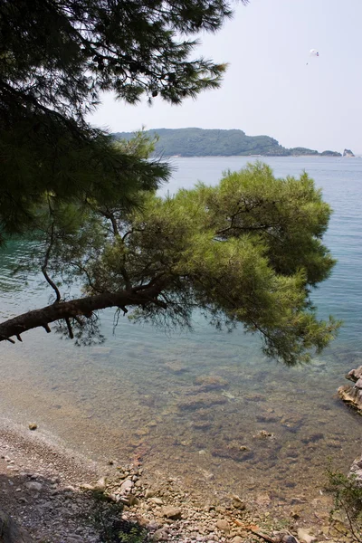 Stock image Montenegro nature