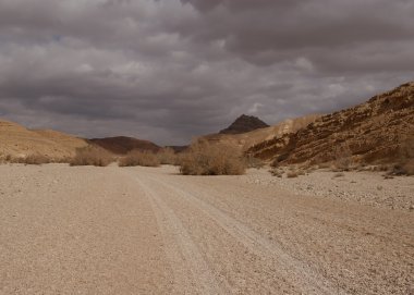 İsrail'den doğası