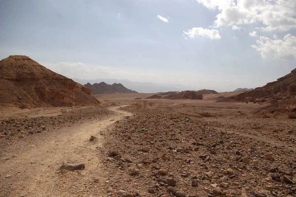 Stock image Nature of Israel