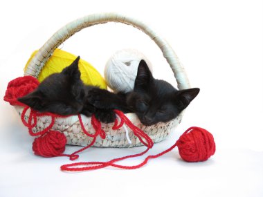 Kitties sleeping in the basket with yarn clipart