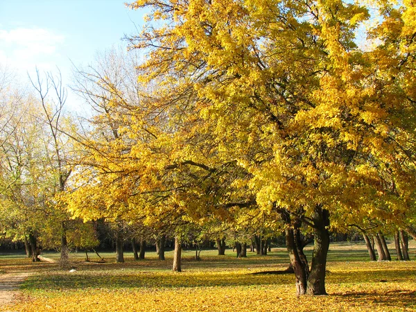 stock image Golden autumn landscape